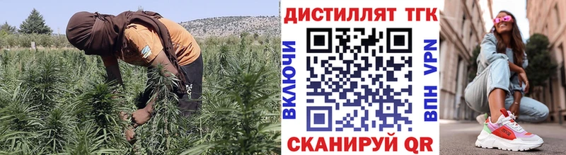 ТГК вейп  блэк спрут сайт  Сурск 
